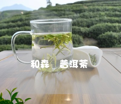 和森 普洱茶/2023042775584